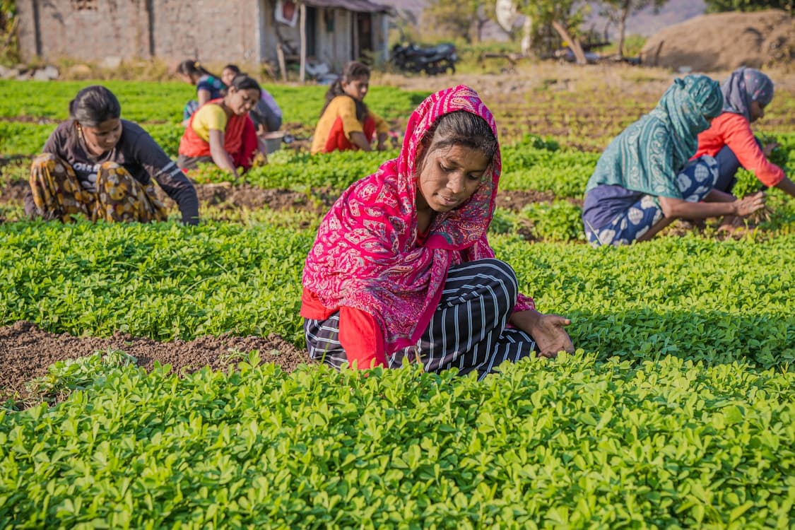 Women farming together in a field